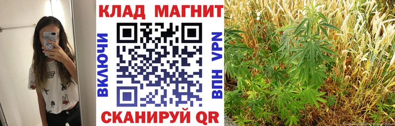 Наркошоп купить ГАШИШ  Амфетамин  МЕФ  Кокаин  СОЛЬ  Болотное