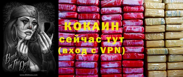 a pvp Каменка