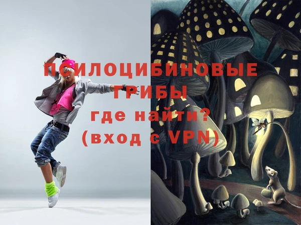 бошки Каменногорск