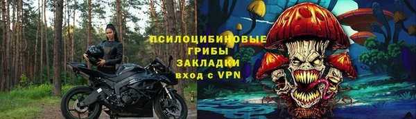 бошки Каменногорск