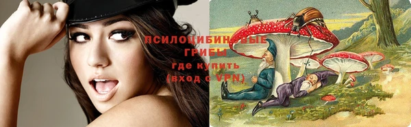 бошки Каменногорск